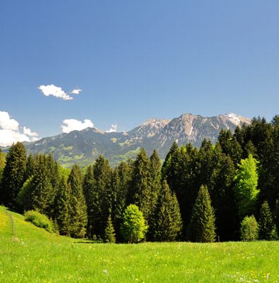 Landschaft Produktfotografie Studio Grafik Design Produktgestaltung Werbung Druck Corporate Design